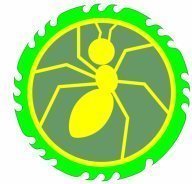 ХСО -Муравейник 2025 "Золотая осень"