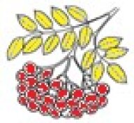 Областные соревнования "Уральская осень". Первенство СО. Дистанция-пешеходная-группа