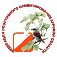 Кубок Курской области памяти Ю. Волохова