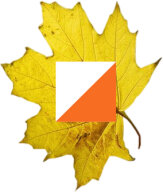 Соревнования по спортивному ориентированию среди школьников УНО г.Бендеры Соревнования по спортивному ориентированию среди школьников УНО г.Бендеры