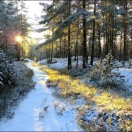 XXVIII традиционные соревнования «Заснеженная тропа»