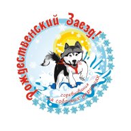 ЧиП НСО "Рождественский заезд - 2026" ЧиП НСО "Рождественский заезд - 2026"