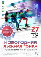 Новогодняя лыжная гонка Новогодняя лыжная гонка