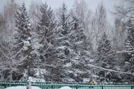 Краевые соревнования Приморкого края по лыжным гонкам