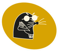 Городские соревнования по спортивному ориентированию "День народного единства 2025"