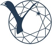 Тренировочный старт