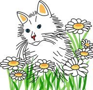 Московский Меридиан (ночные)