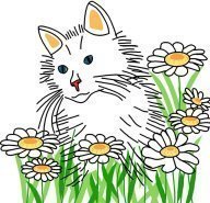 Московский Меридиан (ночные)