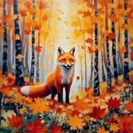 Первенство города Владимира по радиоспорту Первенство города Владимира по радиоспорту