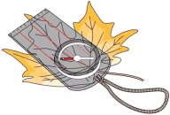 Летнее первенство по спортивному ориентированию Летнее первенство по спортивному ориентированию