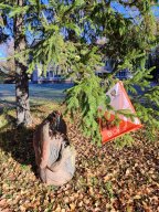 Семинар для педагогов, тренеров и судей по спортивному ориентированию