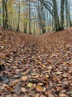 Первый этап зимнего кубка Калининграда по велоспорту