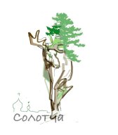 Новогодние лыжная, велосипедная гонки и кроссовый бег по тропе К.Паустовского Новогодние лыжная, велосипедная гонки и кроссовый бег по тропе К.Паустовского