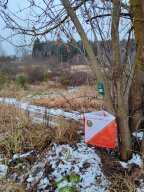 Открытое соревнования по спортивному ориентированию