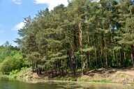 Городские соревнования по спортивному ориентированию "Открытие летнего сезона" Городские соревнования по спортивному ориентированию "Открытие летнего сезона"